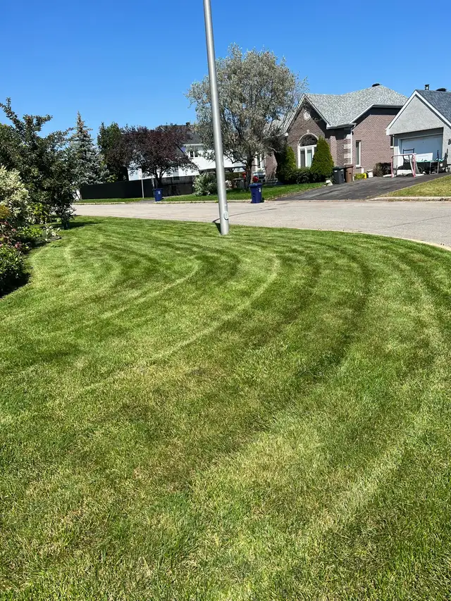 coupe de gazon // lawncare