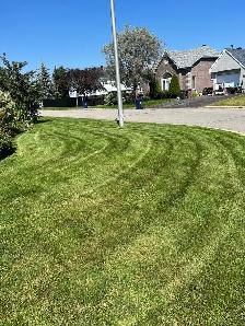 coupe de gazon // lawncare