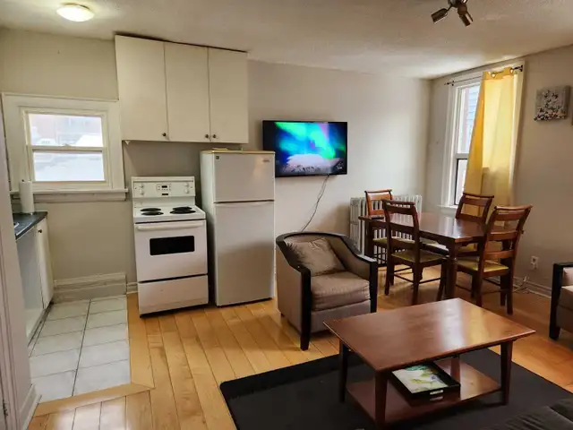 Furnished big room, shared 2-bedroom apt, 5-minute walk to Eaton - Photo 6