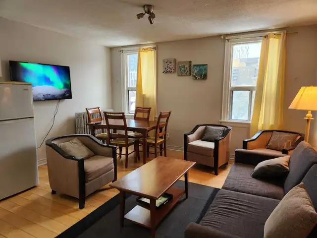 Furnished big room, shared 2-bedroom apt, 5-minute walk to Eaton - Photo 7