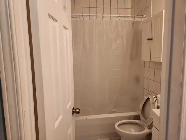 Furnished big room, shared 2-bedroom apt, 5-minute walk to Eaton - Photo 10