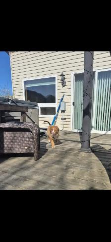 2 bedroom, 1 bath suite in Sicamous.