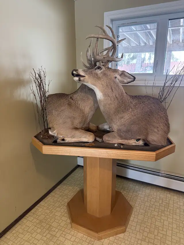 Deer Pedestal