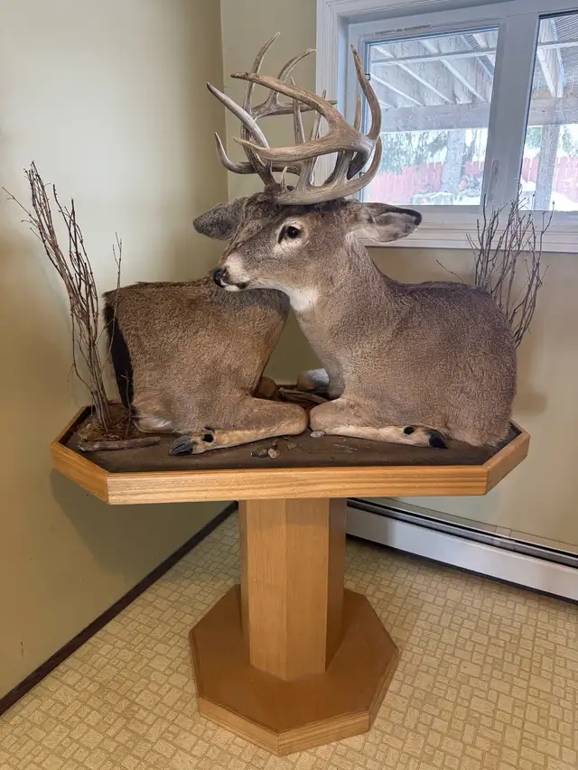 Deer Pedestal - Photo 2