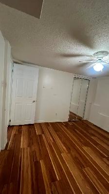 Beautiful above ground basement apartment - Photo 12