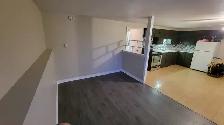 2 BEDROOM APARTMENT(1YR-LEASE) FOR RENT IN BEAUTIFUL ST-ANTOINE - Photo 3