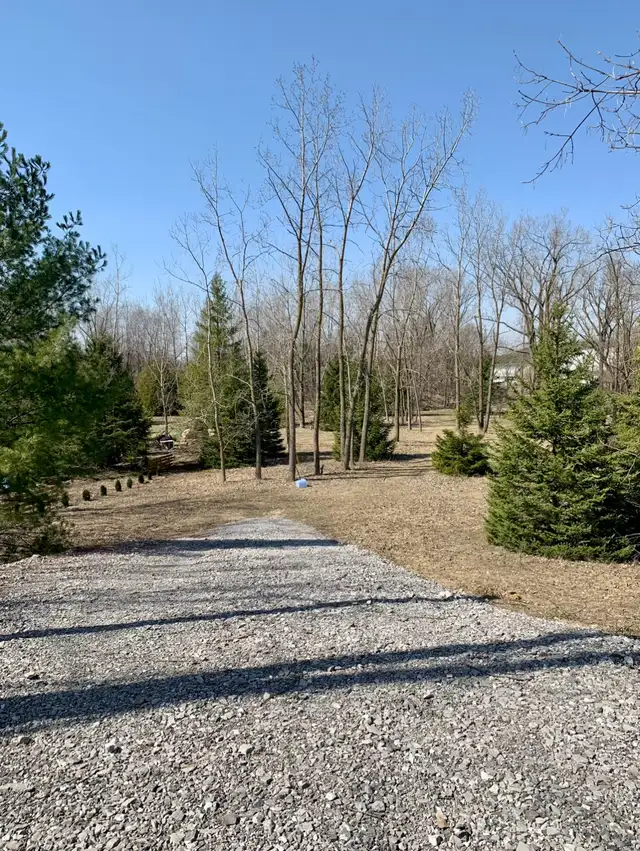 1 acre lot For Sale - Photo 2