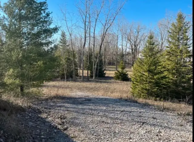 1 acre lot For Sale - Photo 7