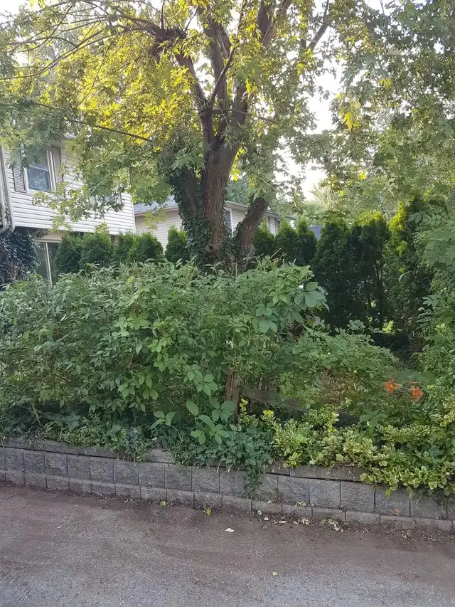 2 Furnished Rooms For Rent, FEMALE ONLY near Western Uni - Photo 9