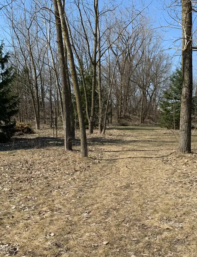 Land Private Sale - Photo 5