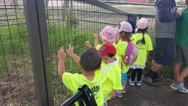 Licensed Day Home Space Available in Harvest Hills - Photo 6