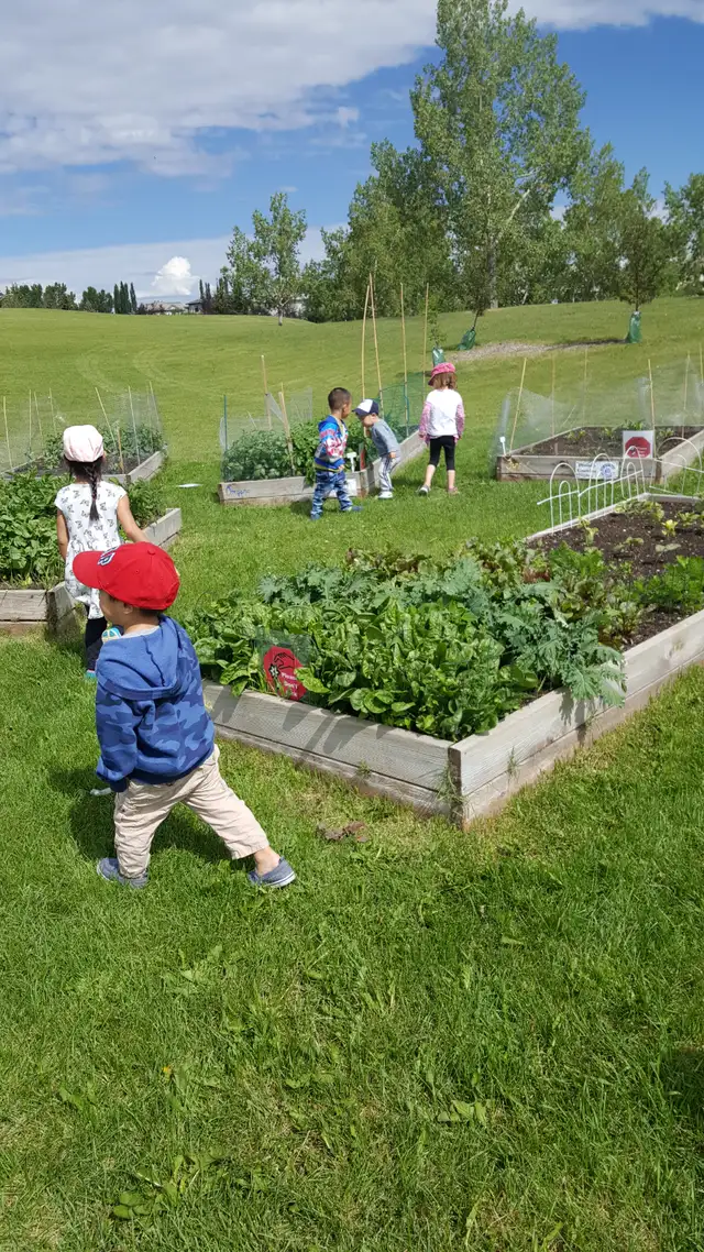 Licensed Day Home Space Available in Harvest Hills - Photo 7