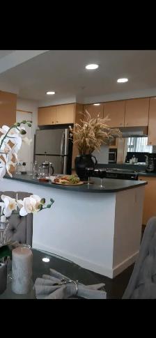 1 Bedroom Yaletown Furnished Condo