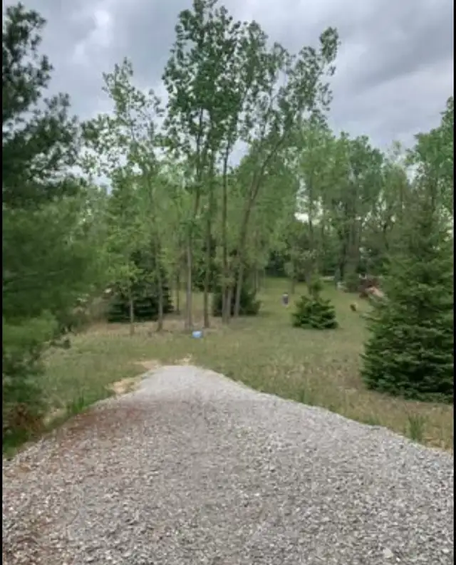 land for sale - Photo 3