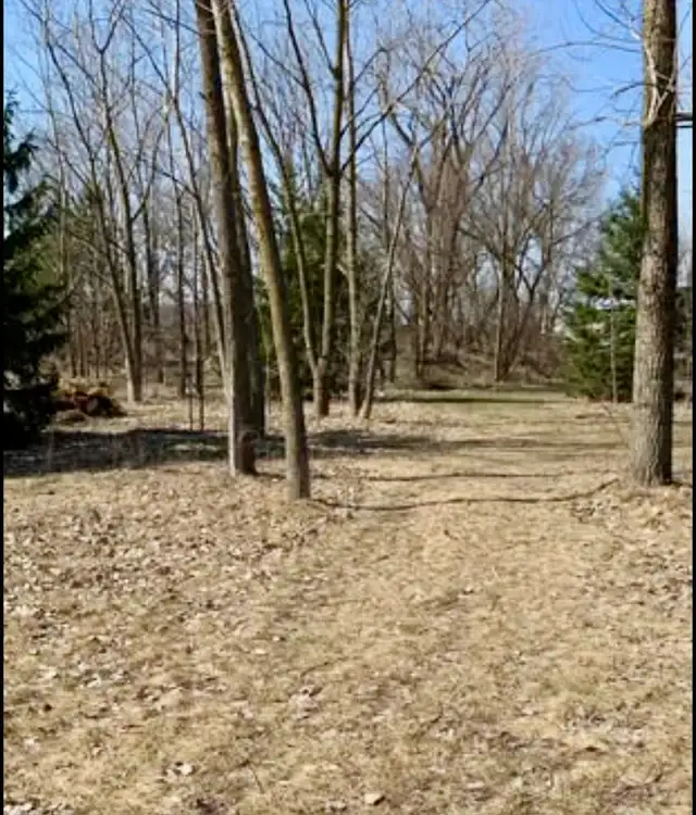 land for sale - Photo 6