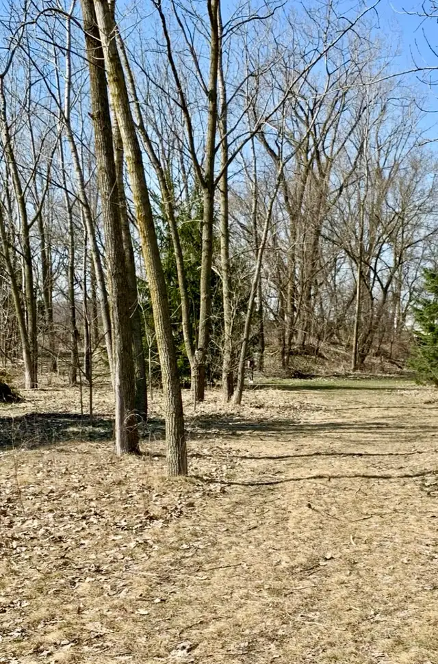 land for sale - Photo 7