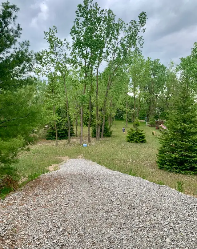 land for sale - Photo 10