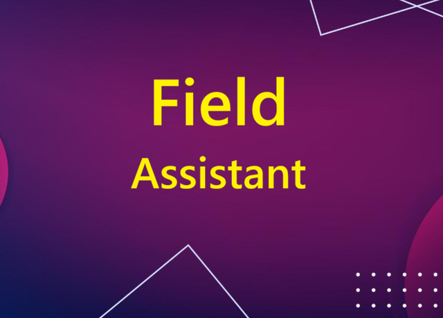 Field Assistant - Photo 2