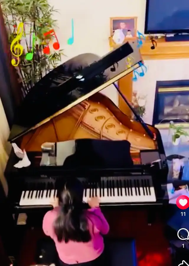 Piano lesson ( Erin Grove SE) - Photo 4