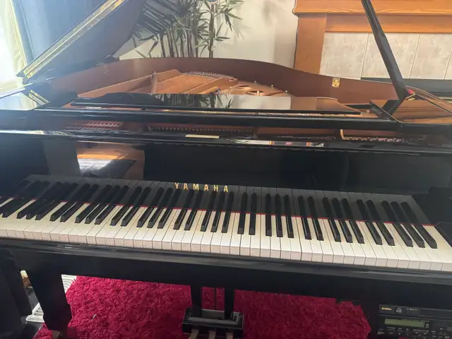 Piano lesson ( Erin Grove SE) - Photo 6