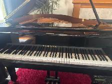 Piano lesson ( Erin Grove SE) - Photo 6