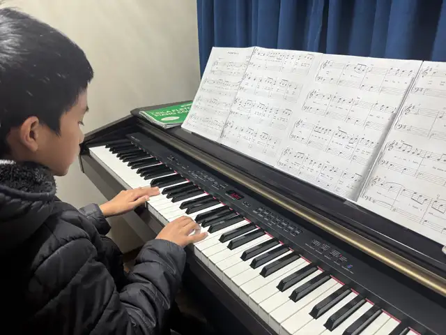 Piano lesson ( Erin Grove SE) - Photo 7