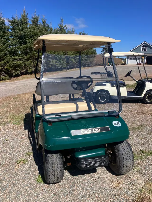07 Clubcar DS Gas Golf Cart - Photo 2