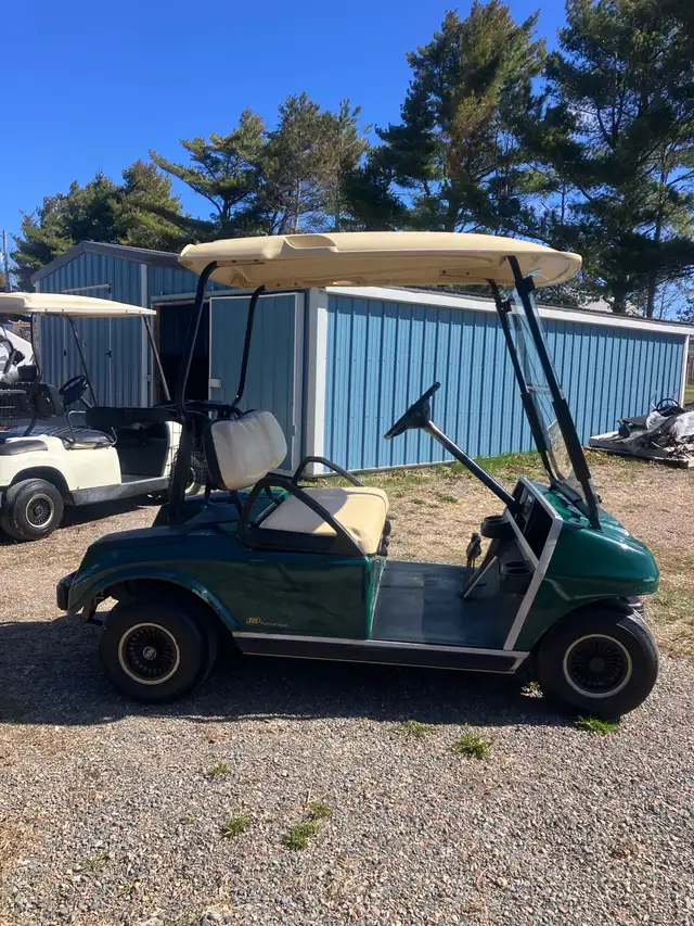 07 Clubcar DS Gas Golf Cart - Photo 3