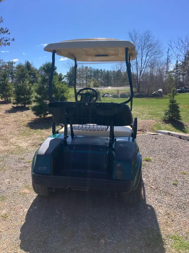 07 Clubcar DS Gas Golf Cart - Photo 4