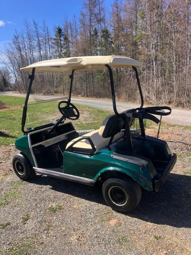 07 Clubcar DS Gas Golf Cart - Photo 5