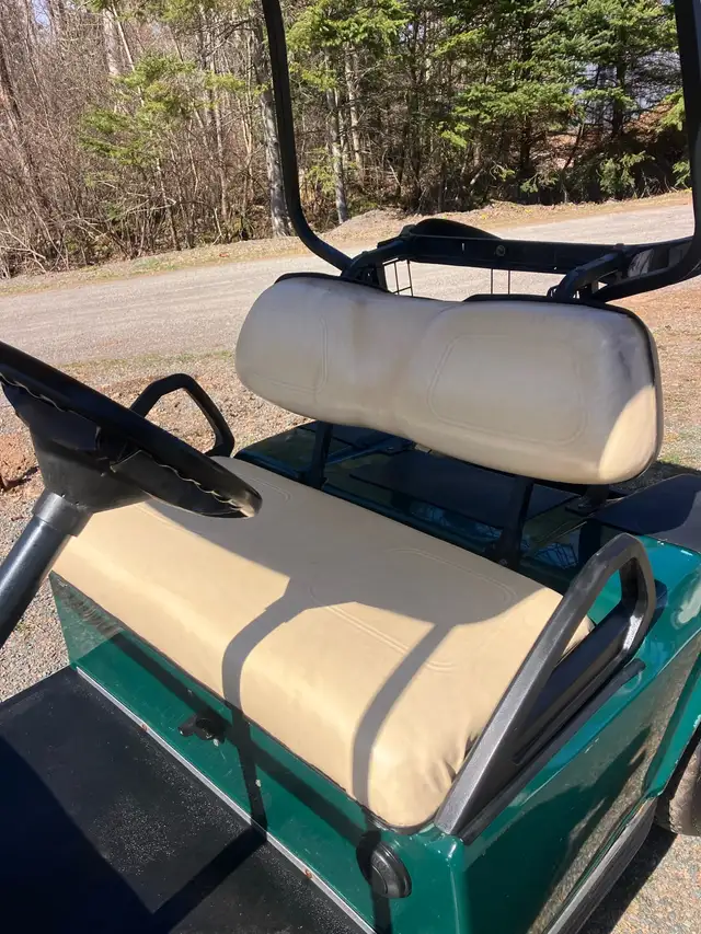 07 Clubcar DS Gas Golf Cart - Photo 6