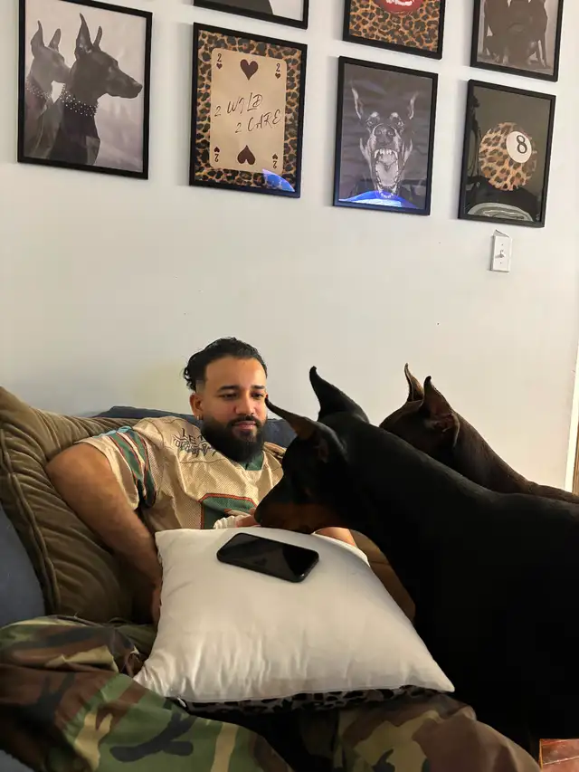 100% European Doberman Puppies - Photo 7