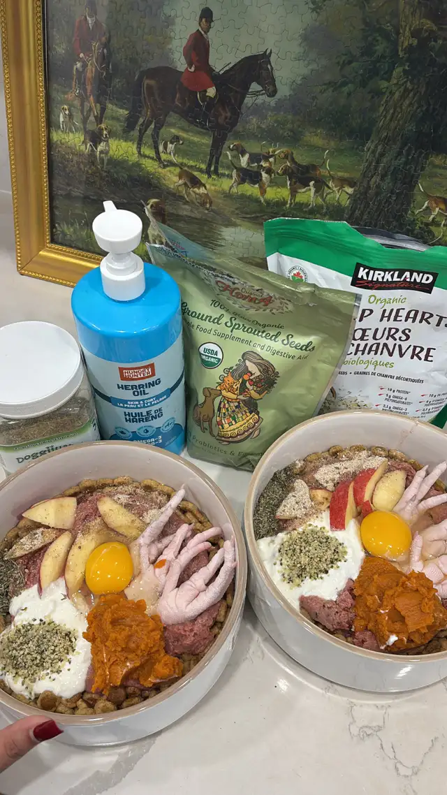 100% European Doberman Puppies - Photo 12