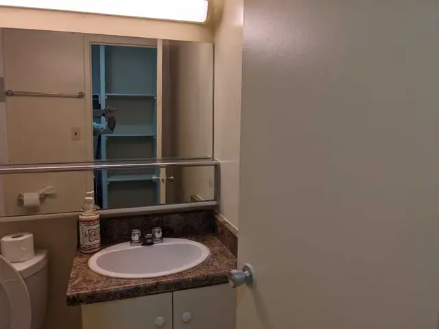 Furnished studio, Yonge and Eglinton, move in May - Photo 3