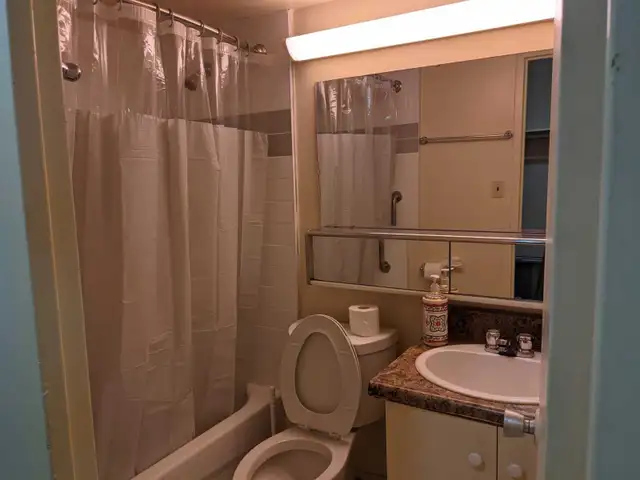 Furnished studio, Yonge and Eglinton, move in May - Photo 4