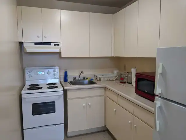 Furnished studio, Yonge and Eglinton, move in May - Photo 8