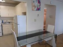 Furnished studio, Yonge and Eglinton, move in May - Photo 10