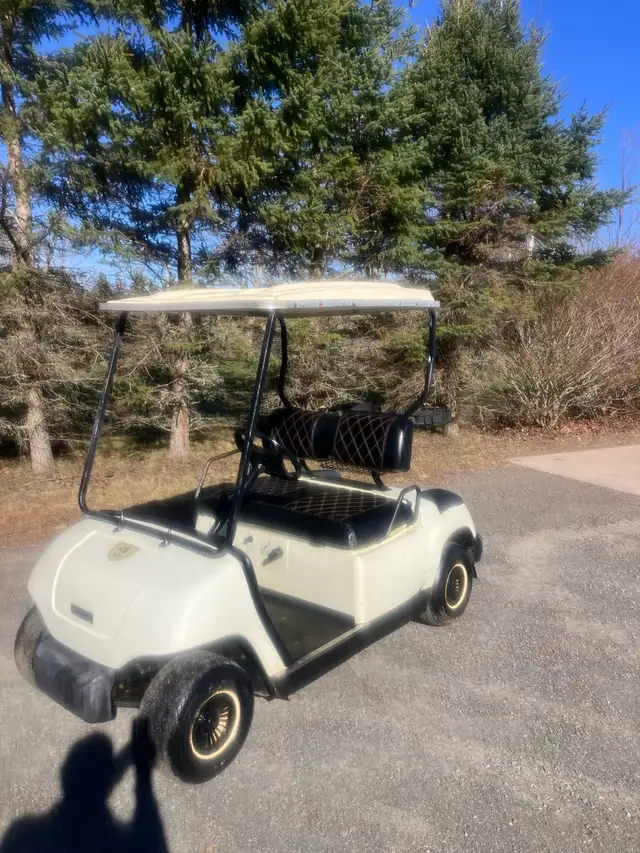 01 Yamaha G16 Gas Golf Cart - Photo 2