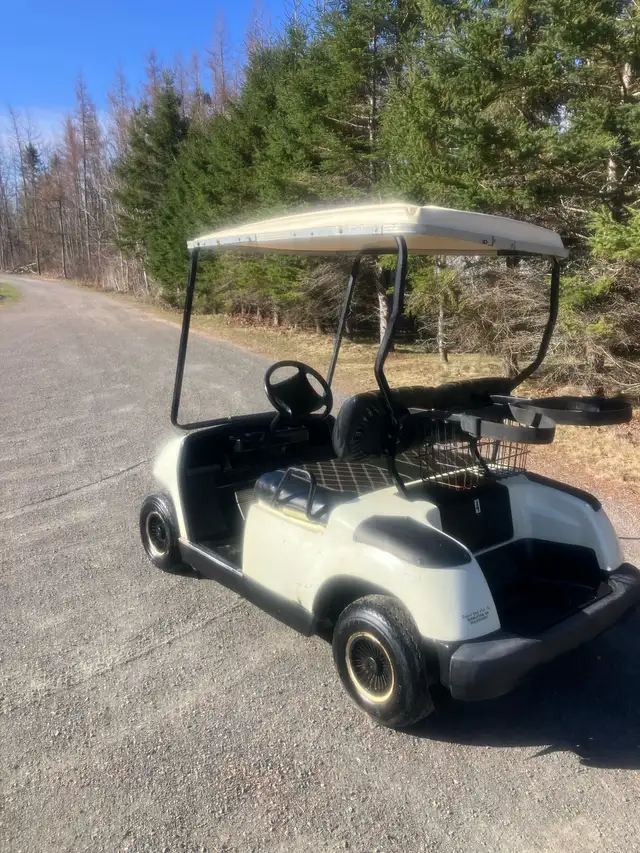01 Yamaha G16 Gas Golf Cart - Photo 3