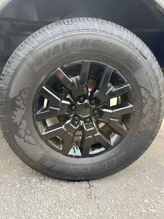 2011 Nissan Frontier Limited - Photo 7