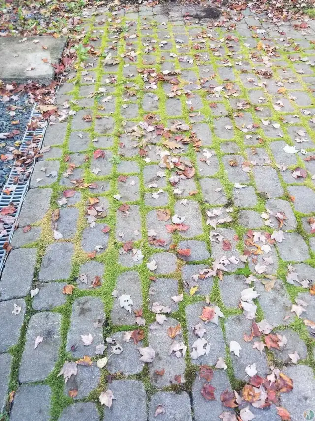 Gutter Cleaning & Power Washing – 45  Years Experience - Photo 7