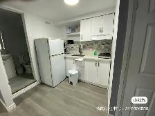 New renovation walk-out basement studio available from June 1st - Photo 4