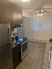 Large 1 BDRM in Old Strathcona! Excellent Location!