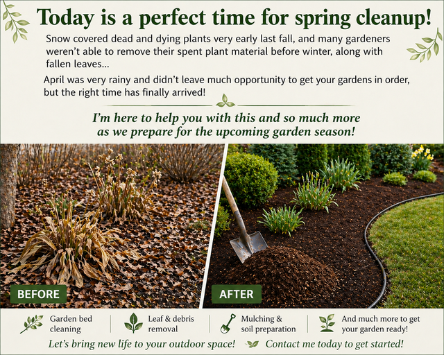 This is a great time for spring cleanup!