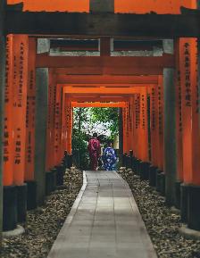 Learn Japanese in Montreal  | Experienced Teacher - Photo 6