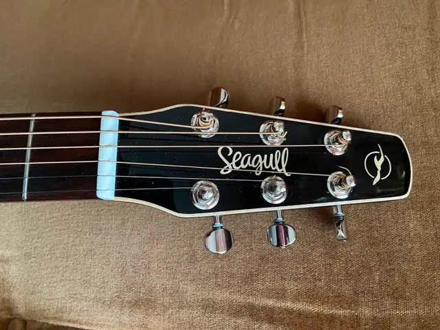 SEAGULL Coastline Momentum A/E Guitar with electronics. GREAT! - Photo 5