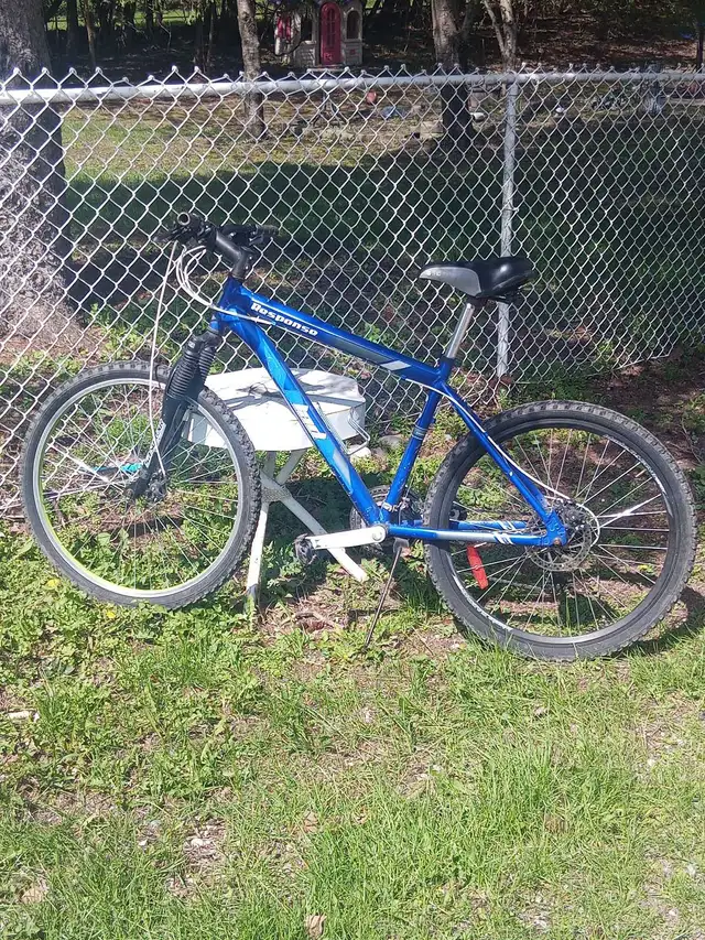 Response Bicycle
