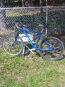 Response Bicycle