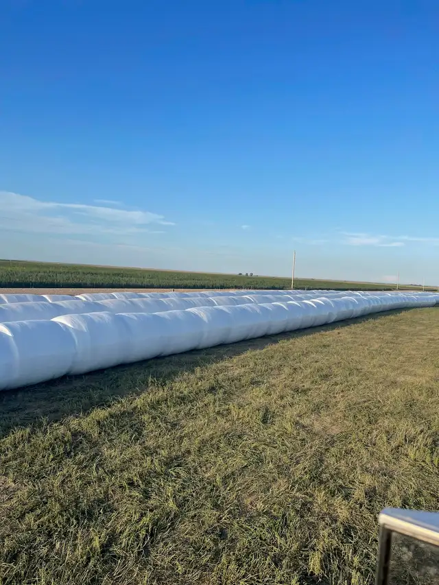 PREMIUM   ALFALFA HAYLAGE