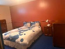 $1300 /month ALL IN! Furnished Basement Suite – Sherwood Park - Photo 3